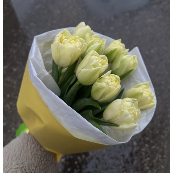 11 пионовидных тюльпана