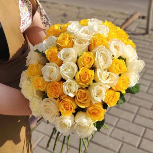 51 желто-белая роза