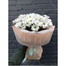 7 веток ромашковой х...