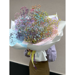 7 радужных гипсофил...